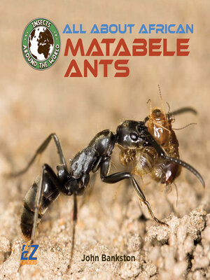 cover image of All About African Matabele Ants